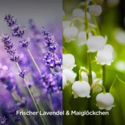 Airwick Raumduft Duftspray, 237 Ml, Geruchsneutralisierend, Lavendel & Maiglöckchen -Tork Shop 0bcfc7788d6365d46cb9ed0ed7beddc3442c879e raumduft airwick duftspray 237 ml