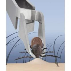 Wedo Zeckenentferner Quickex 271791211, Grün, Zeckenzange, Aus Metall, Mit Lupe Und LED-Licht 8 Wedo Zeckenentferner Quickex 271791211, Grün, Zeckenzange, Aus Metall, Mit Lupe Und LED-Licht -Tork Shop 40d4d63c976ef263e16e6f8e59a3b19a7c886318 zeckenentferner wedo 271791211 quickex gruen