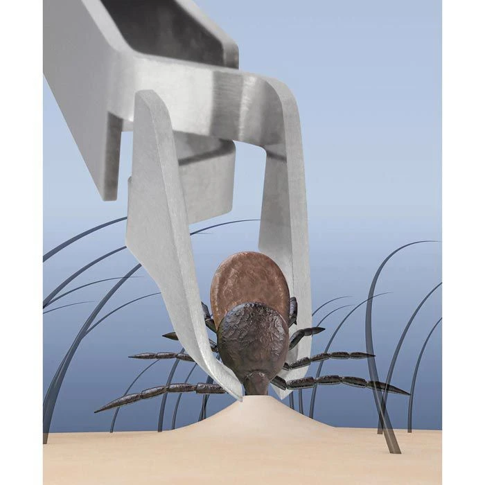 Wedo Zeckenentferner Quickex 271791211, Grün, Zeckenzange, Aus Metall, Mit Lupe Und LED-Licht 3 Wedo Zeckenentferner Quickex 271791211, Grün, Zeckenzange, Aus Metall, Mit Lupe Und LED-Licht – Bild 3