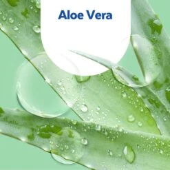 Sagrotan No-Touch Nachfüller Aloe Vera, 250ml, Flüssigseife 10 Sagrotan No-Touch Nachfüller Aloe Vera, 250ml, Flüssigseife -Tork Shop 7667ea69a253243b9aaa16c1a80d7adb329ba131 seife sagrotan no touch aloe vera