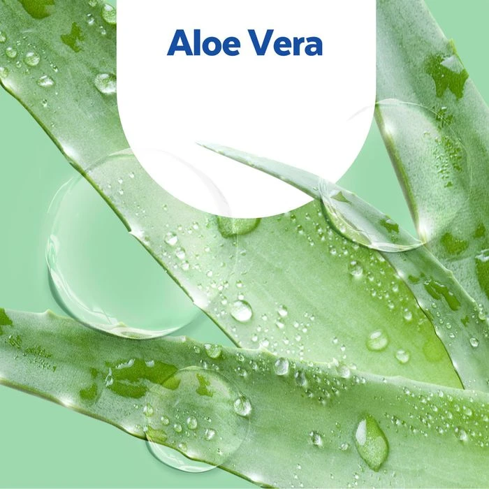 Sagrotan No-Touch Nachfüller Aloe Vera, 250ml, Flüssigseife 3 Sagrotan No-Touch Nachfüller Aloe Vera, 250ml, Flüssigseife – Bild 3