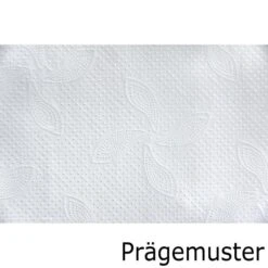 Katrin Papierhandtücher Classic Non Stop L 3, 3-lagig, Interfold-Falz, 20,3 X 32 Cm, 2250 Stück 8 Katrin Papierhandtücher Classic Non Stop L 3, 3-lagig, Interfold-Falz, 20,3 X 32 Cm, 2250 Stück -Tork Shop 76ef6fd09de319a9372af40c42e8f7fcc3ce12e2 papierhandtuecher katrin classic non stop l 3