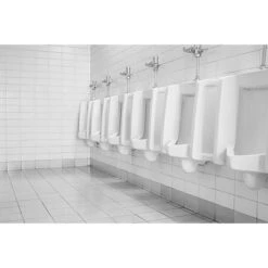 BiOHY WC-Reiniger WC-Schwan, 032-001, 100% Vegan, 750ml -Tork Shop b74d672266190b6a33c4a507ba12a6de2d3e2cb2 wc reiniger biohy wc schwan 100 vegan