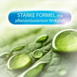 Sagrotan Allesreiniger Blütenfrische, Grüner Apfel, Allzweckreiniger Desinfiziert, 750ml -Tork Shop b7f572c40eeb44acda2cc2237d5a24141023f00f allesreiniger sagrotan bluetenfrische