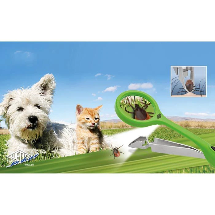 Wedo Zeckenentferner Quickex 271791211, Grün, Zeckenzange, Aus Metall, Mit Lupe Und LED-Licht 4 Wedo Zeckenentferner Quickex 271791211, Grün, Zeckenzange, Aus Metall, Mit Lupe Und LED-Licht – Bild 4