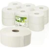 Satino Comfort By Wepa Toilettenpapier, 317810, JT1, 2-lagig, Recyclingpapier,Mini Jumbo, 720 Blatt, 12 Rollen